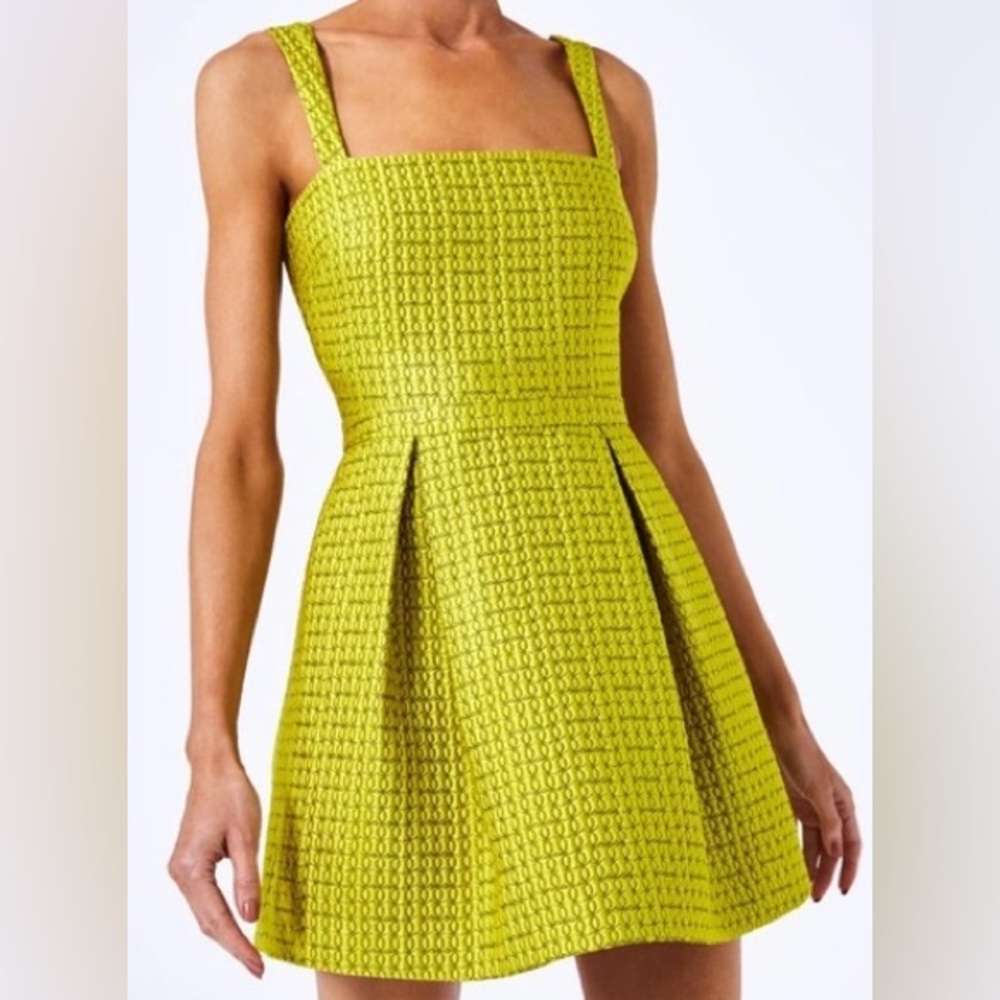 Alexis Elegant Lime Green Textured Dress